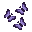 a group of butterflies